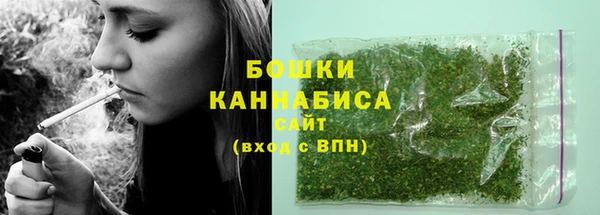 шишки Аркадак
