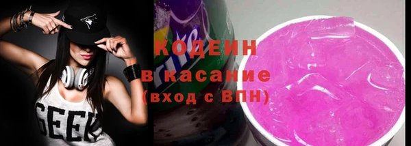соль ск Дмитриев