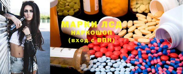 шишки Аркадак