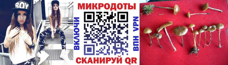 купить наркоту Певек Псилоцибиновые грибы Psilocybine cubensis